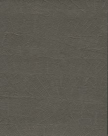 ND3064N        