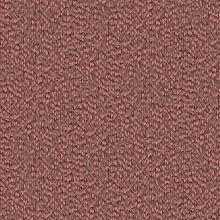 TP422966